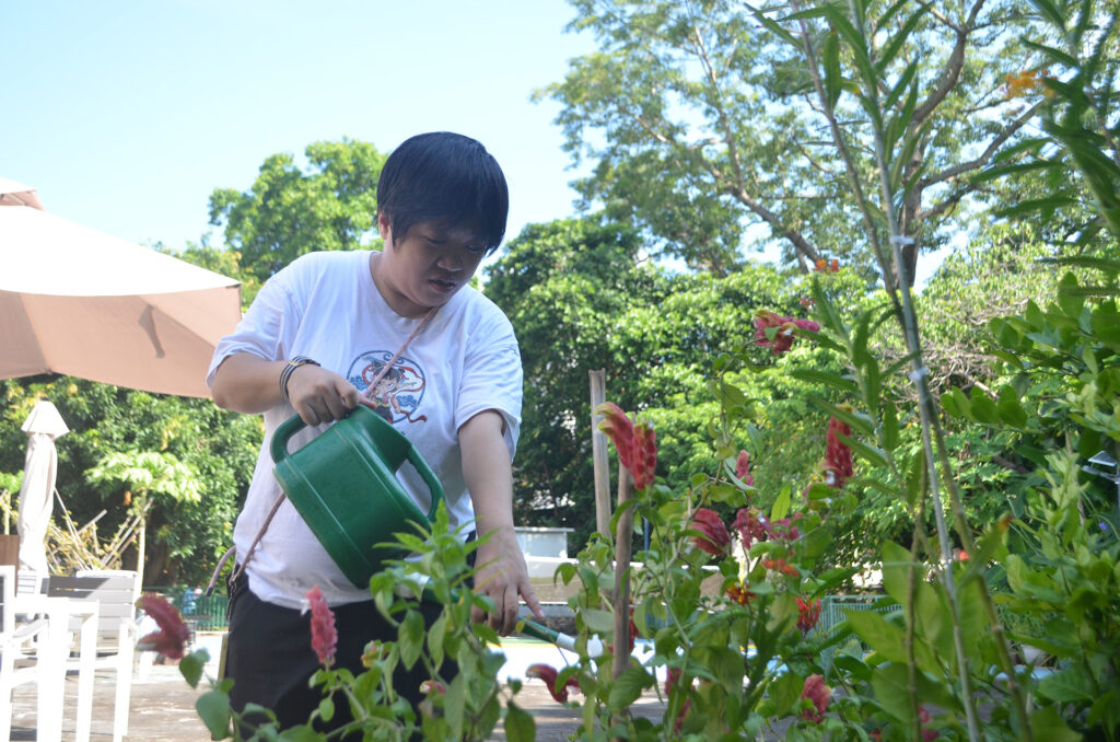 小燕在朗逸居淋花